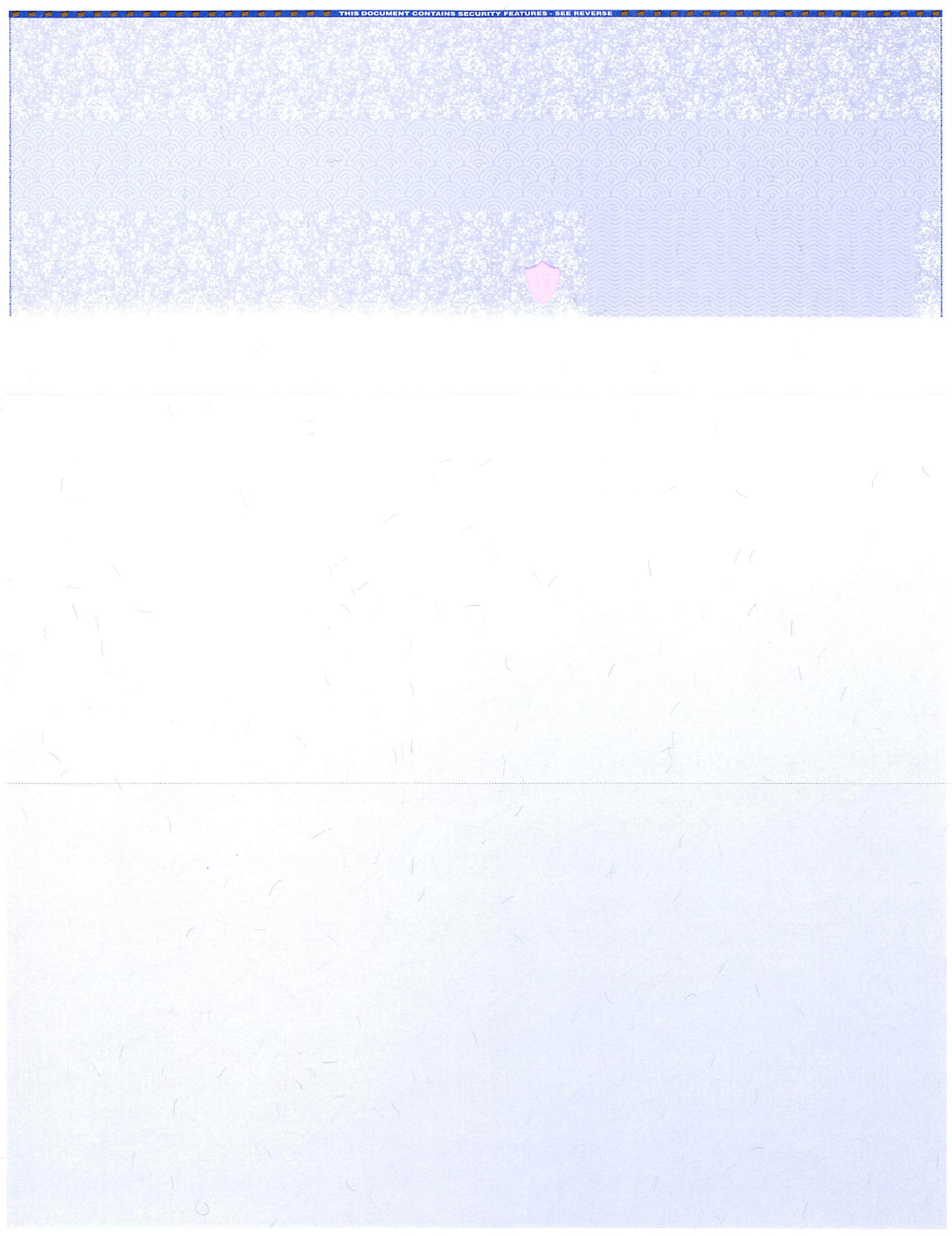 Economical Blank Cheque Paper